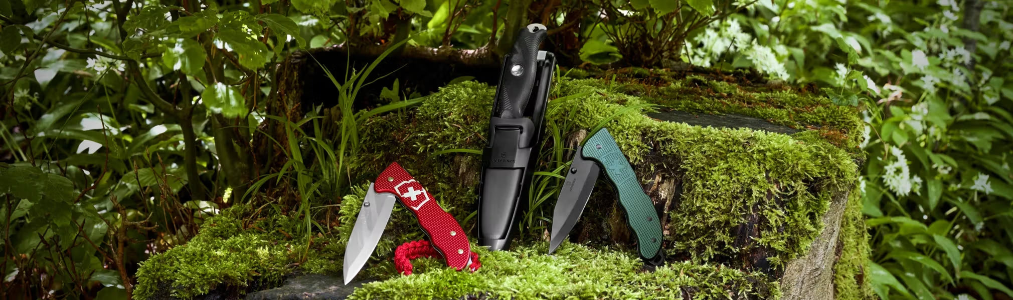 Ultimate Outdoor Pocket Knives