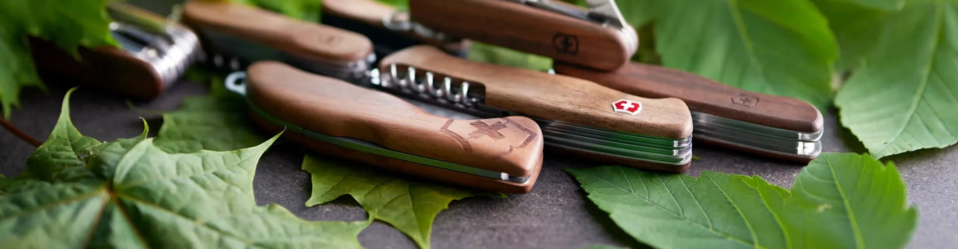 Wood Collection