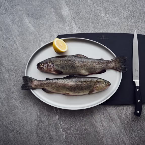 Fillet Knives