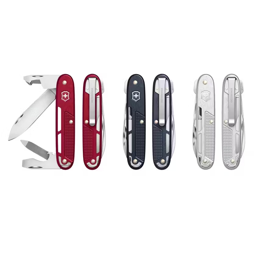 Iconic look with skeletonized scales and timeless colors